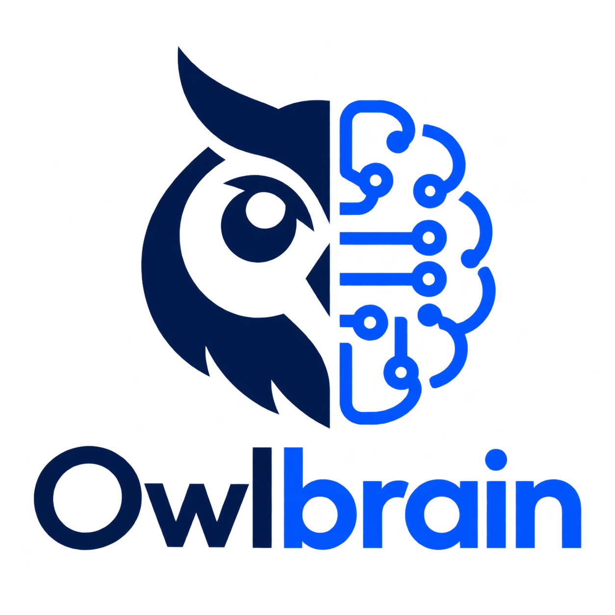 Owlbrain.in Logo